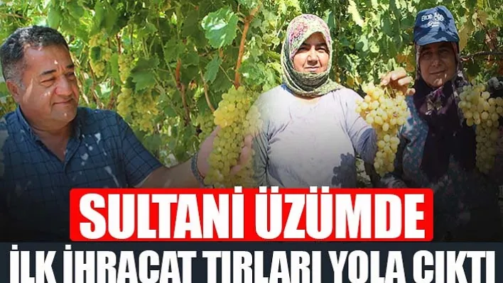 Manisa'nın dünyaca ünlü Çekirdeksiz Sultani üzümleri 55 tırla Rusya'ya doğru hareket etti