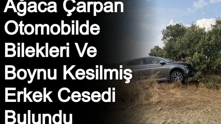 Manisa'da Ağaca Çarpan Otomobilde Bilekleri Ve Boynu Kesilmiş Erkek Cesedi Bulundu