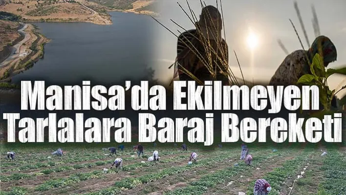 Manisa'da Ekilmeyen Tarlalara Baraj Bereketi