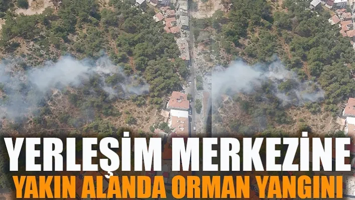 Manisa'da Yerleşim Merkezine Yakın Alanda Orman Yangını