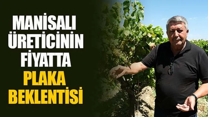 Manisalı Üreticinin Fiyatta Plaka Beklentisi