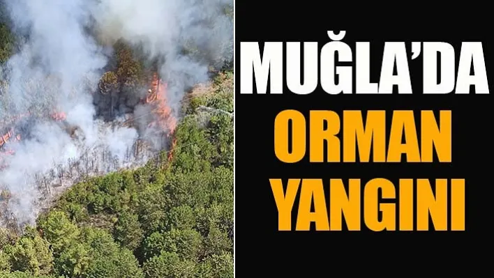 Muğla Ula'da Orman Yangını