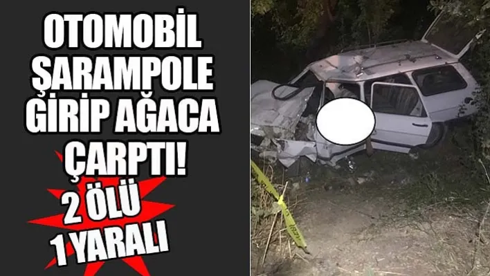 Otomobil Şarampole Girip Ağaca Çarptı: 2 Ölü, 1 Yaralı