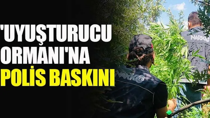 'Uyuşturucu Ormanı'na Polis Baskını!