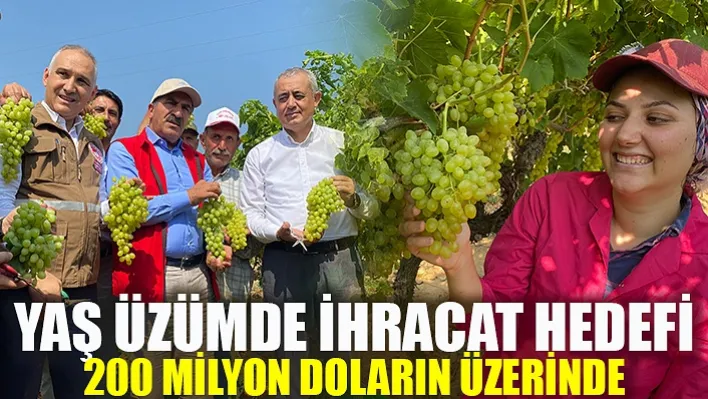 Yaş Üzümde İhracat Hedefi 200 Milyon Doların Üzerinde