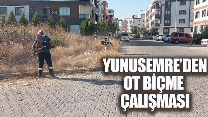 Yunusemre'den Ot Biçme Çalışması