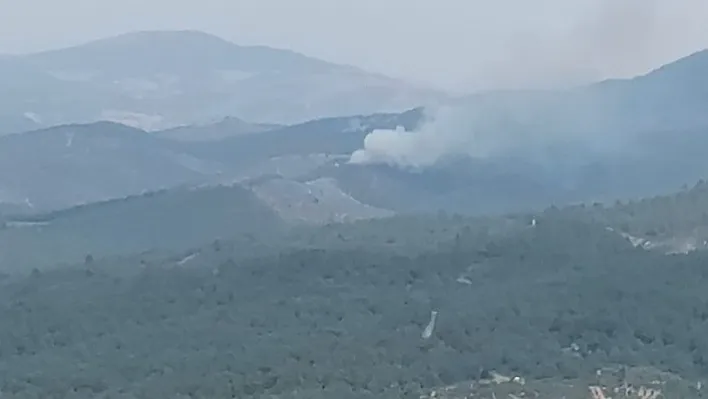 Manisa'daki Yangın Kontrol Altında