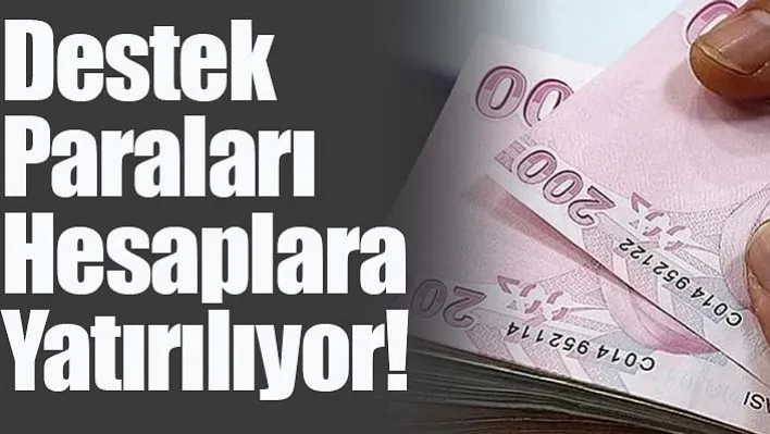 Destek Paraları Hesaplara Yatırılıyor!