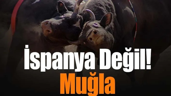 İspanya Değil! Muğla