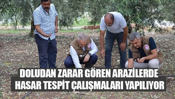 Doludan Zarar Gören Arazilerde Hasar Tespit Çalışmaları Yapılıyor