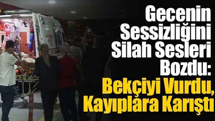 Gecenin Sessizliğini Silah Sesleri Bozdu: Bekçiyi Vurdu, Kayıplara Karıştı