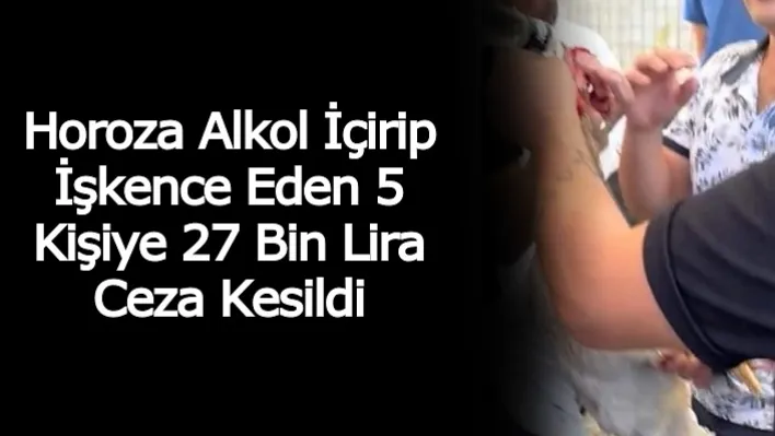 Horoza alkol içirip işkence eden 5 kişiye 27 bin lira ceza kesildi