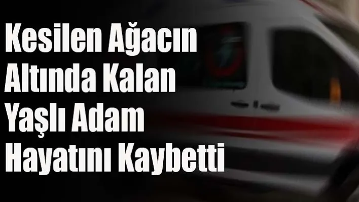 Kesilen Ağacın Altında Kalan Yaşlı Adam Hayatını Kaybetti