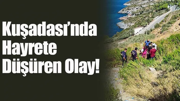 Kuşadası'nda hayrete düşüren olay