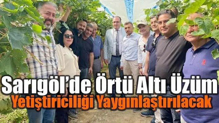 Sarıgöl'de örtü altı üzüm yetiştiriciliği yaygınlaştırılacak