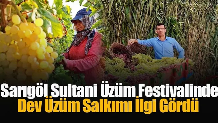 Sarıgöl Sultani Üzüm Festivalinde Dev Üzüm Salkımına Büyük İlgi!