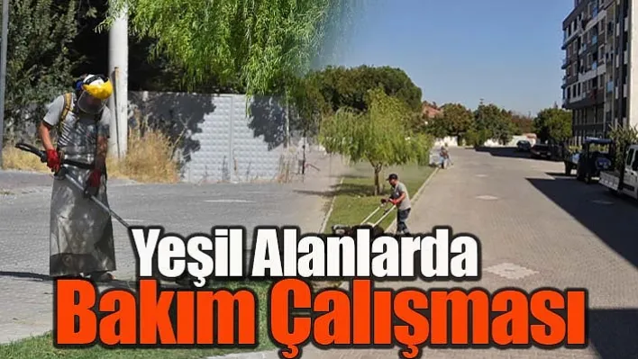 Yunusemre'den Yeşil Alanlarda Bakım Çalışması