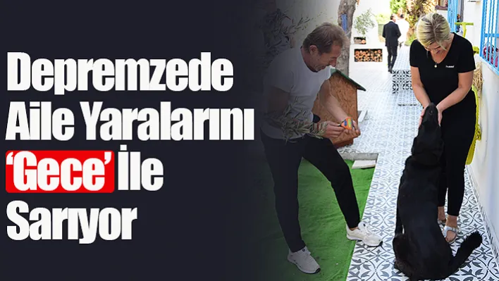 Depremzede Aile Yaralarını 'Gece' İle Sarıyor