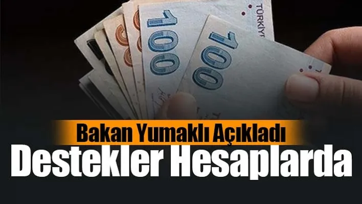 Destekler Hesaplarda