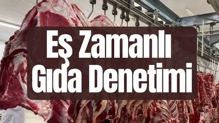 Eş Zamanlı Gıda Denetimi