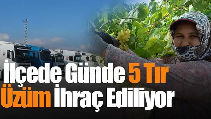 İlçede Günde 5 Tır Üzüm İhraç Ediliyor