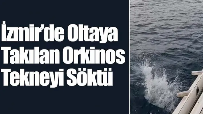 İzmir'de oltaya takılan orkinos tekneyi söktü