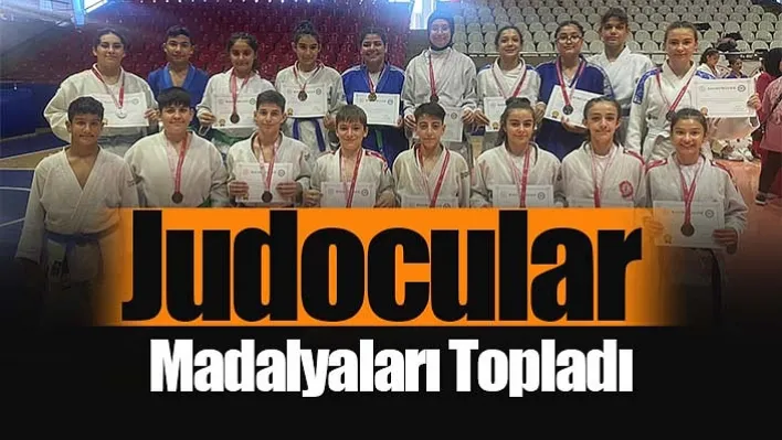 judocular madalyaları topladı