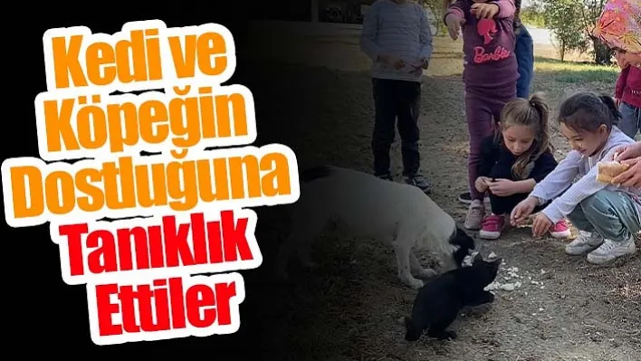 Manisa'da anasınıfı öğrencileri hayvanlar arasındaki dostluğu ve hayvan sevgisini yerinde gördü