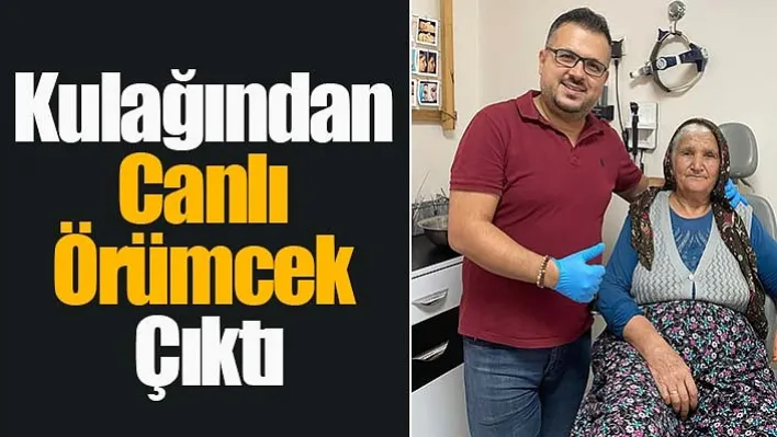 Manisa'da Şok Olay! 'Hışırtı Var' Diye Doktora Gitti, Kulağından Canlı Örümcek Çıktı