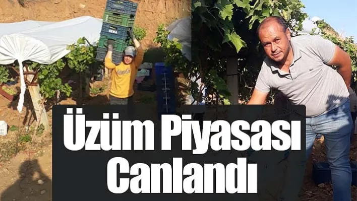 Manisa Sarıgöl'de üzüm piyasası canlandı