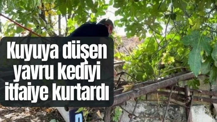 Manisa'da Kuyuya düşen yavru kediyi itfaiye kurtardı