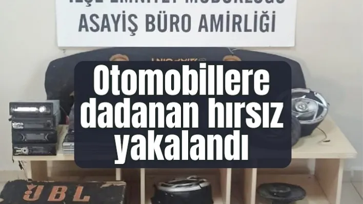 Manisa'da Otomobillere dadanan hırsız yakalandı