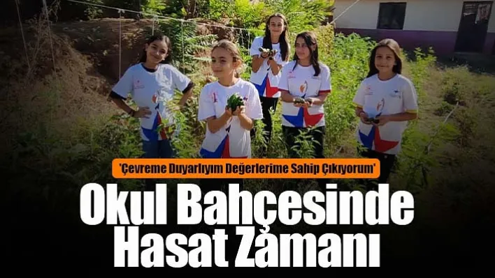 Okul bahçesinde sebze bahçesinde ilk ürünler alınmaya başladı