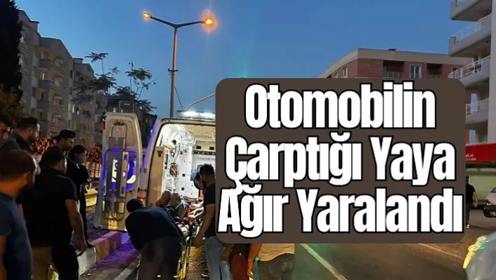 otomobilin çarptığı yaya ağır yaralandı