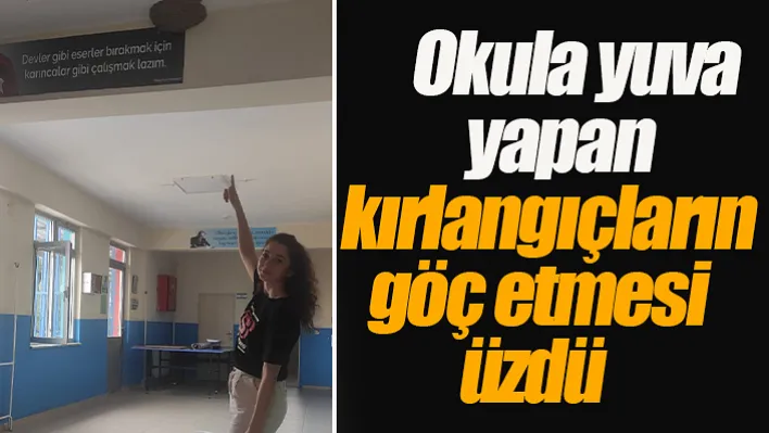 Sarıgöl'de Okula yuva yapan kırlangıçların göç etmesi üzdü