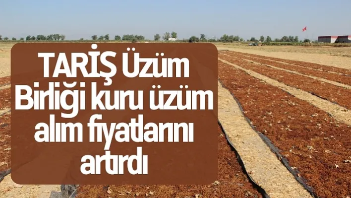 TARİŞ Üzüm Birliği kuru üzüm alım fiyatlarını artırdı