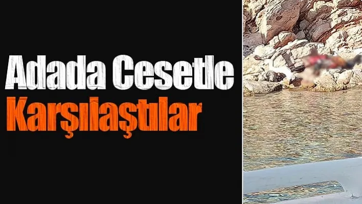 Adada Cesetle Karşılaştılar