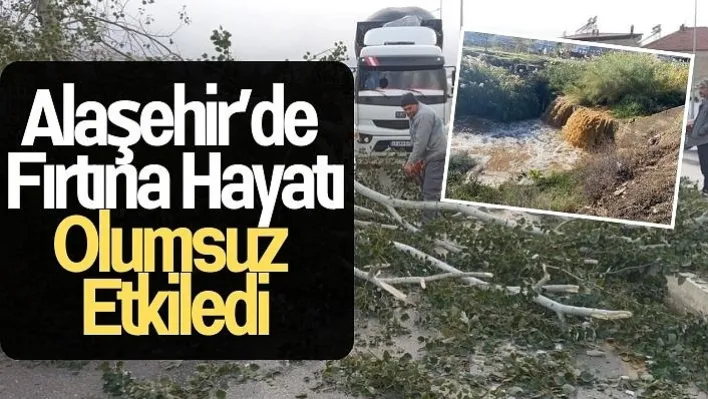 Alaşehir'de fırtınaya dayanamayan 15 metrelik kavak ağacı yola devrildi