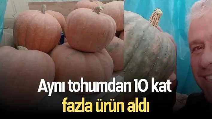 Aynı tohumdan 10 kat fazla ürün aldı