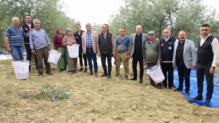 Büyükşehir, zeytin hasadında da üreticilerin yanında