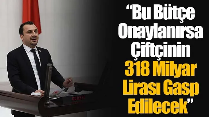 CHP'li Başevirgen 'Bu Bütçe Onaylanırsa Çiftçinin 318 Milyar Lirası Gasp Edilecek'