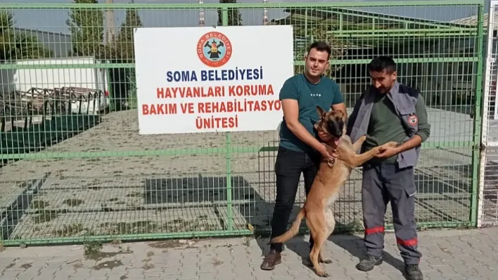 İzmir'de kaybolan köpek Manisa'da bulundu