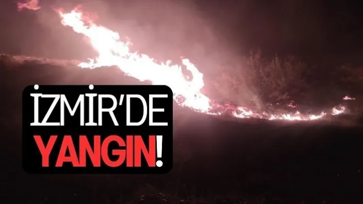 İzmir'de Yangın!