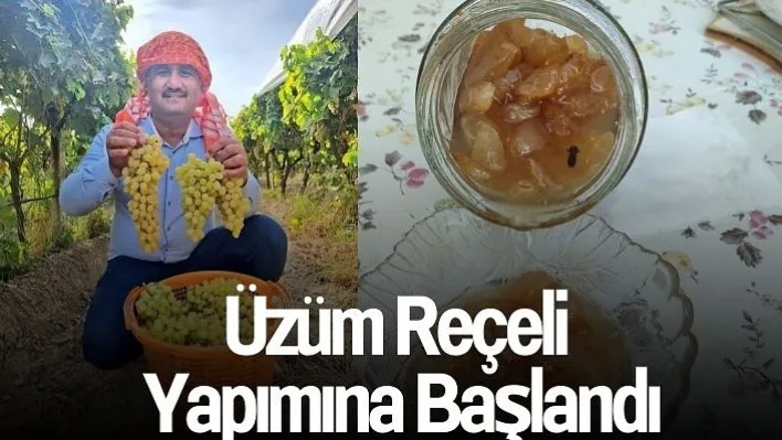 Kahvaltı sofralarının değişmezi: İlçede üzüm reçeli yapımına başlandı