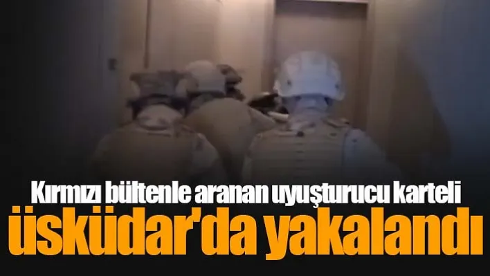 Kırmızı bültenle aranan uyuşturucu karteli Üsküdar'da yakalandı