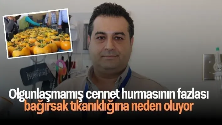 Olgunlaşmamış cennet hurmasının fazlası bağırsak tıkanıklığına neden oluyor