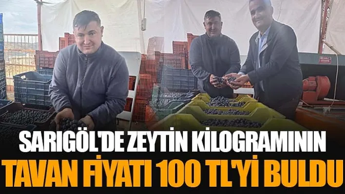 Sarıgöl'de Zeytin Kilogramının Tavan Fiyatı 100 TL'yi Buldu