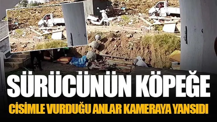 Sürücünün Köpeğe Cisimle Vurduğu Anlar Kameraya Yansıdı