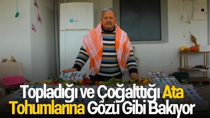 Topladığı ve çoğalttığı ata tohumlarına gözü gibi bakıyor