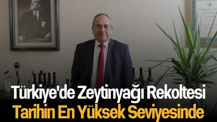 Türkiye'de zeytinyağı rekoltesi tarihin en yüksek seviyesinde